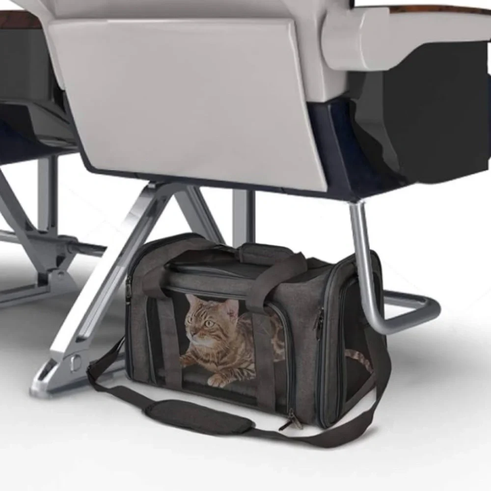 Pet travel carrier